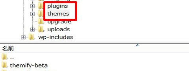 wordpress,wp-content,themes,plugins