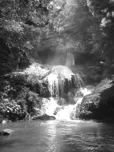abimage-011